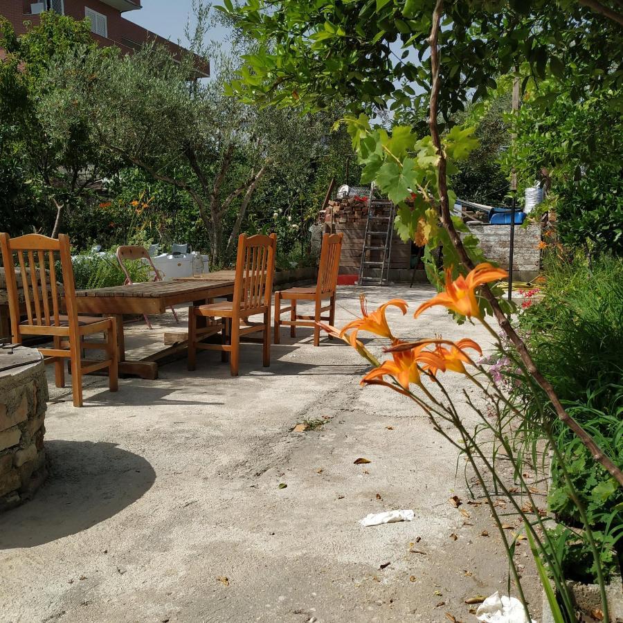 地拉那Spacious House With A Big Garden And Fire Pit别墅 外观 照片