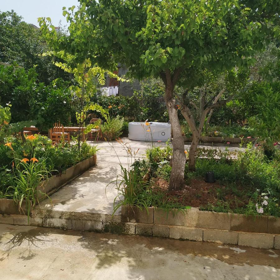 地拉那Spacious House With A Big Garden And Fire Pit别墅 外观 照片