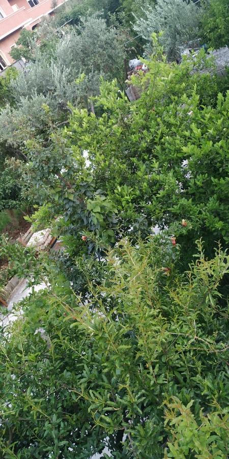 地拉那Spacious House With A Big Garden And Fire Pit别墅 外观 照片